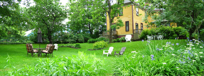 Garden